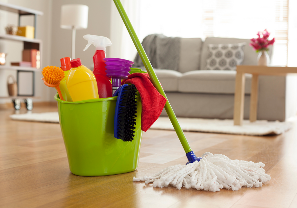 Quick Steps to Keeping Your Home Clean as a Pet Owner