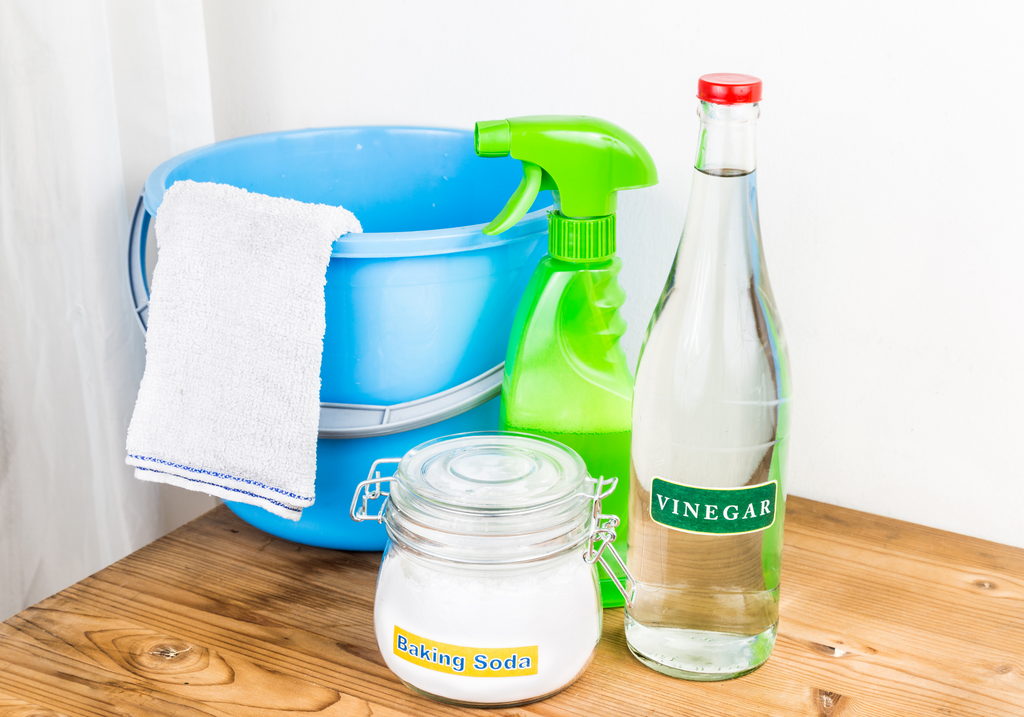 DIY Pet Stain & Odor Cleaner for Your Home