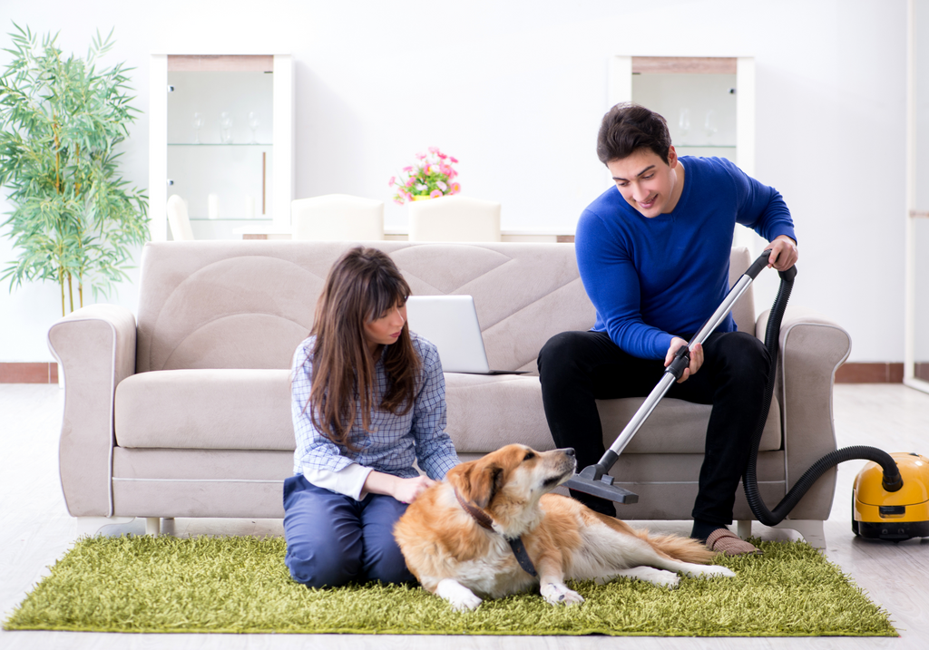How to Live a Cleaner Life as a Dog Owner