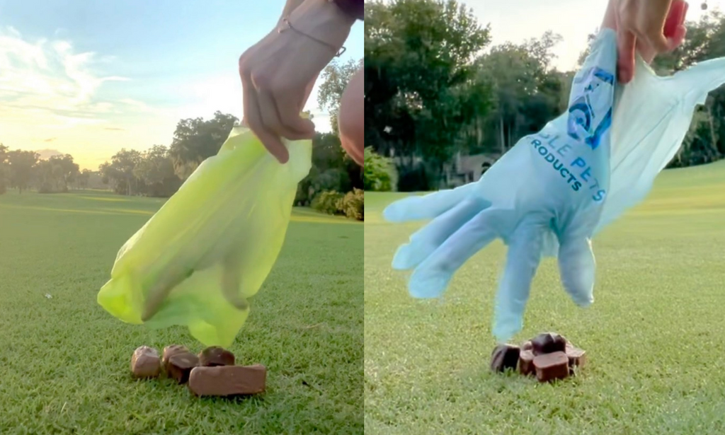 Dog Gloves: The Future of Picking Up After Your Dog